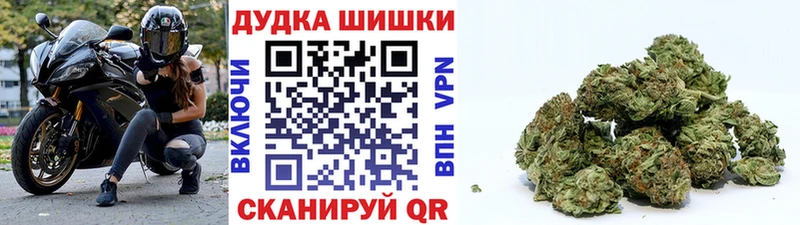 купить   Южа  Канабис семена 